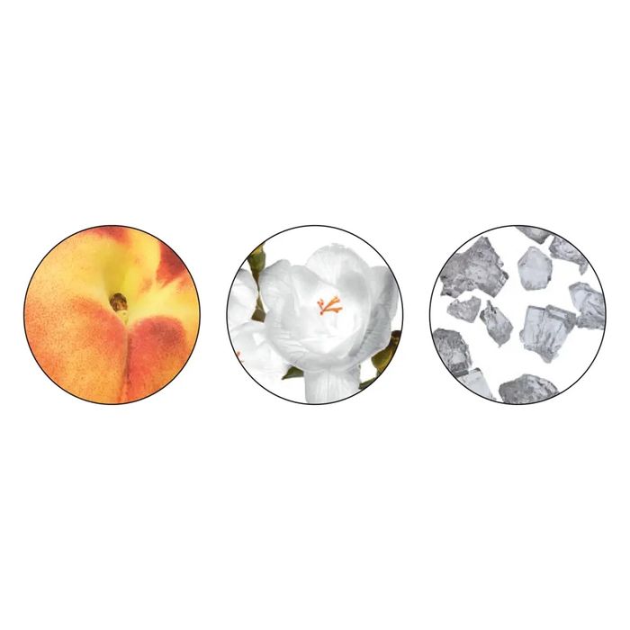 Eclat Femme weekend tam viagem