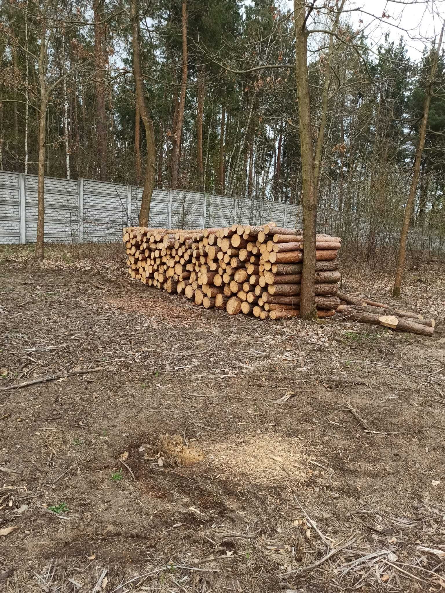 Drewno Kominkowe / Opałowe Osika , SOSNA pocięte / połupane  do pieca