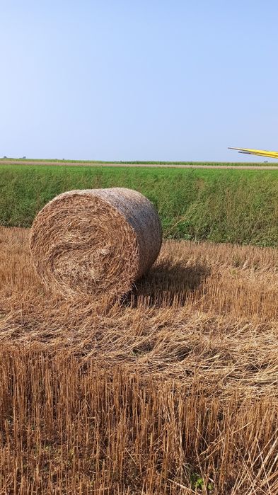 Słoma, siano w belkach, transport