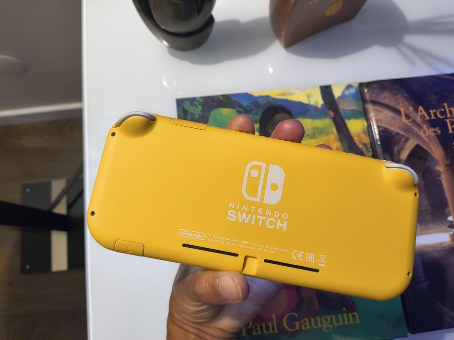 Nintendo Switch Lite desbloqueada
