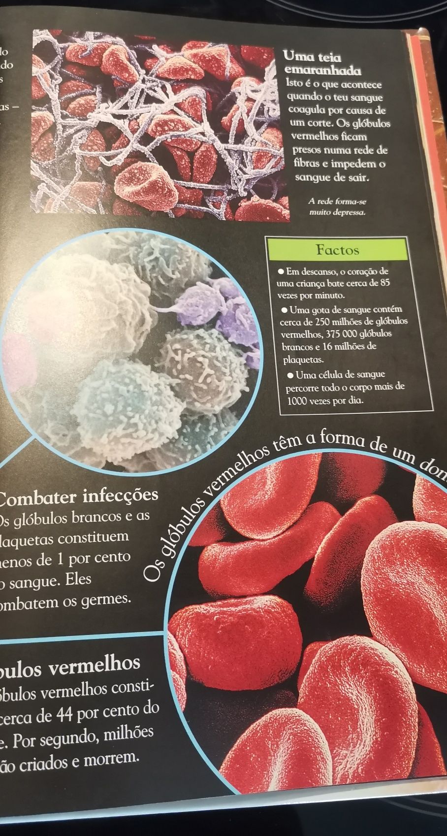 Livro Corpo Humano