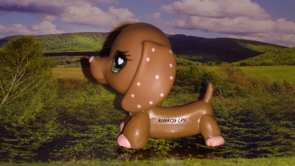 LPS Littlest Pet Shop jamnik #556 walentynkowy oryginalny pop oryginał