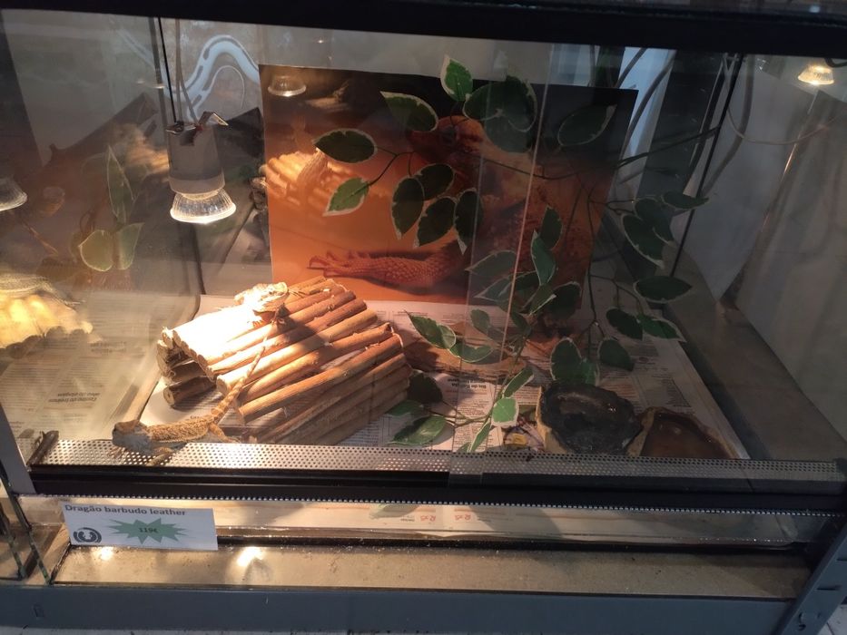 Terrario de 60 cm horizontal novo