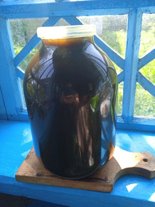 Сік чистотілу 0.5 л