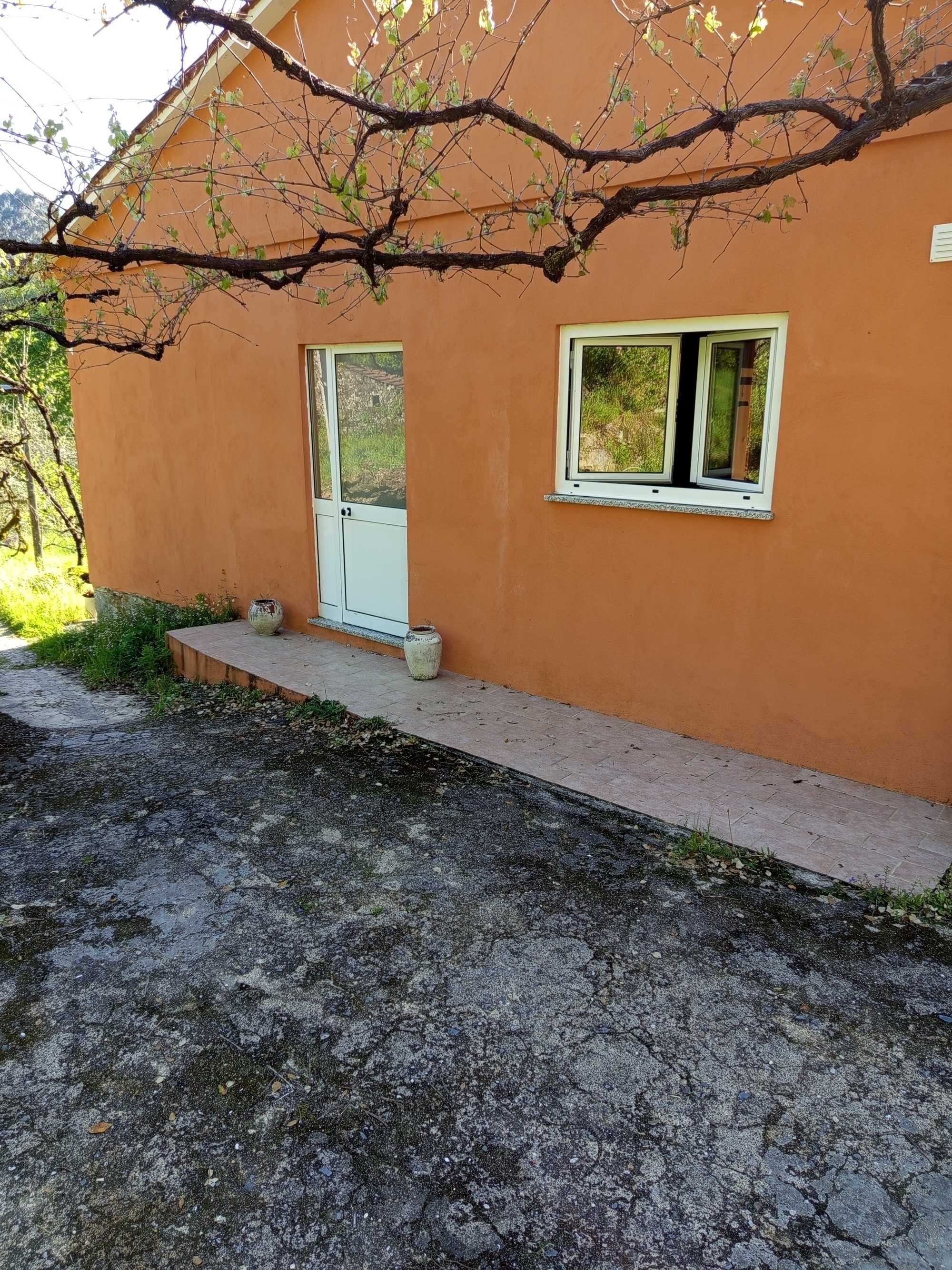 Quinta de 1 hectare com T3 remodelado+anexo e currais de pedra