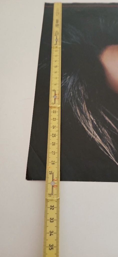 Poster Tokio Hotel/Wentworth Miller,com defeito