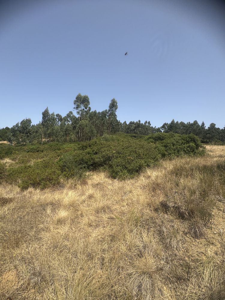 Terreno com 10000 imperdiv