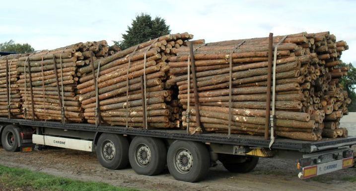 NOWE STEMPLE BUDOWLANE docinamy na wymiar Poznań i cała WLKP+Transport