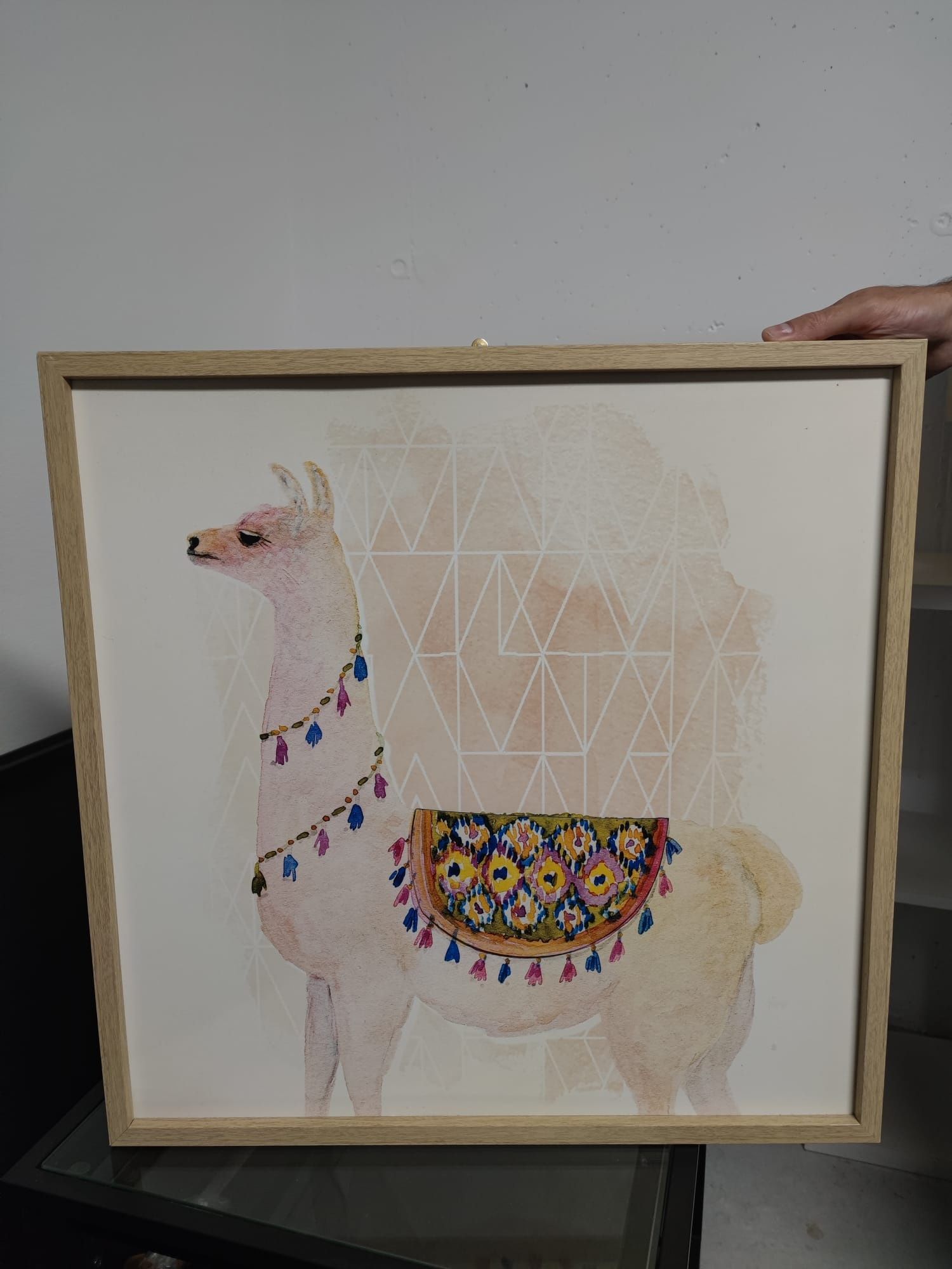 Quadro Lama
60×60 cm

Preço: 10€