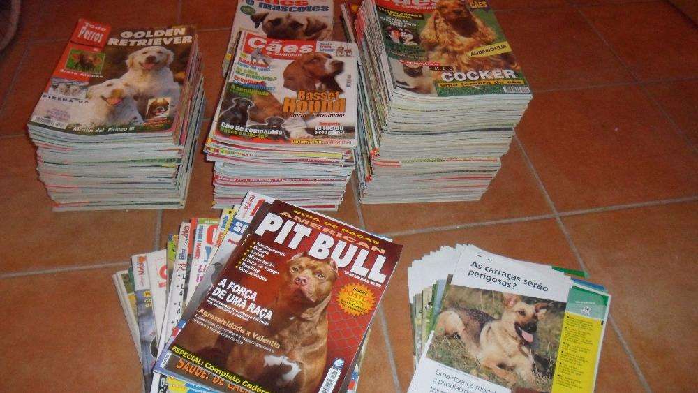 Revistas de cães! Primeiros números-Raro-Não vendo separado+Livros