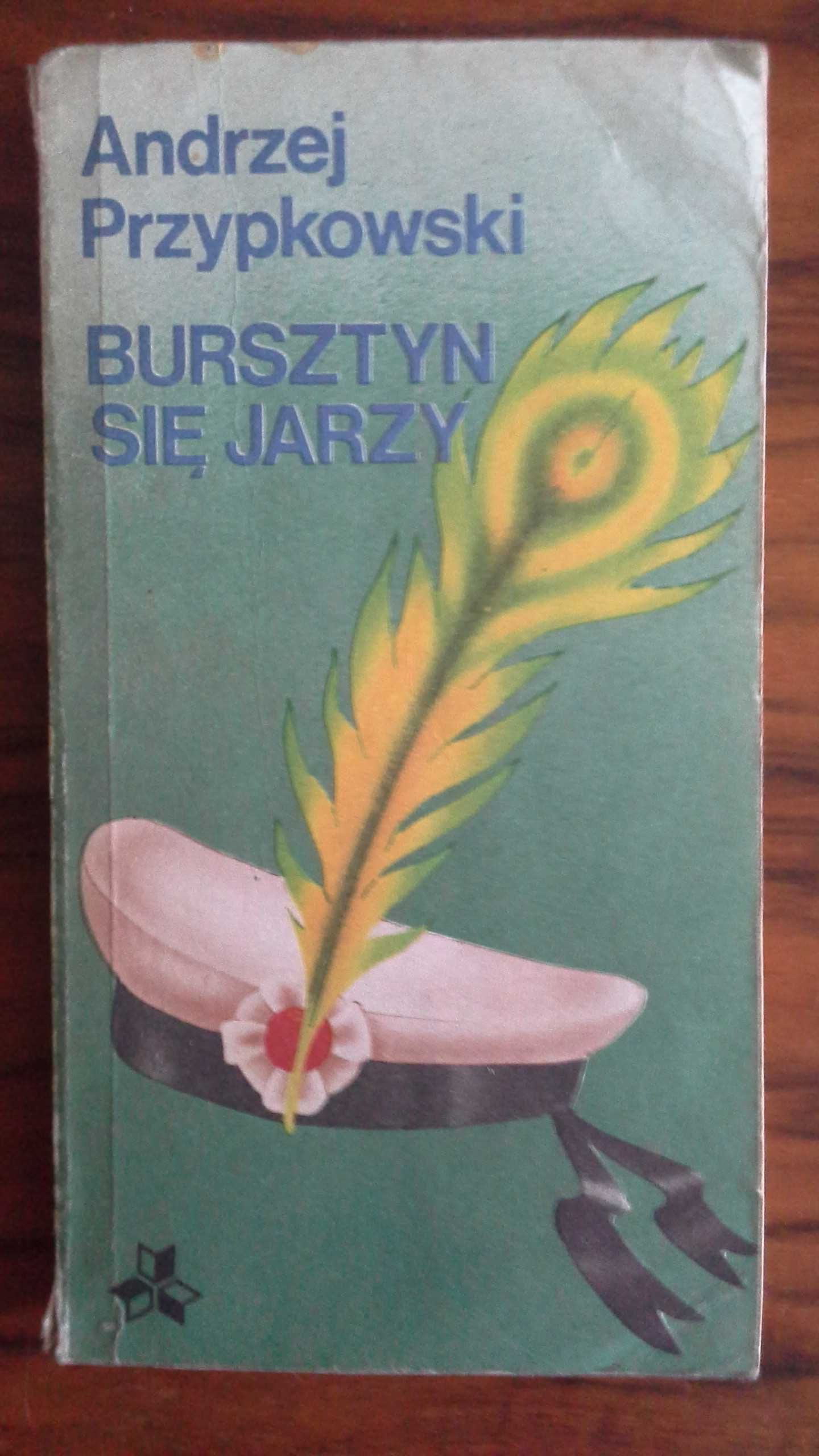 Bursztyn się jarzy - Andrzej Przypkowski