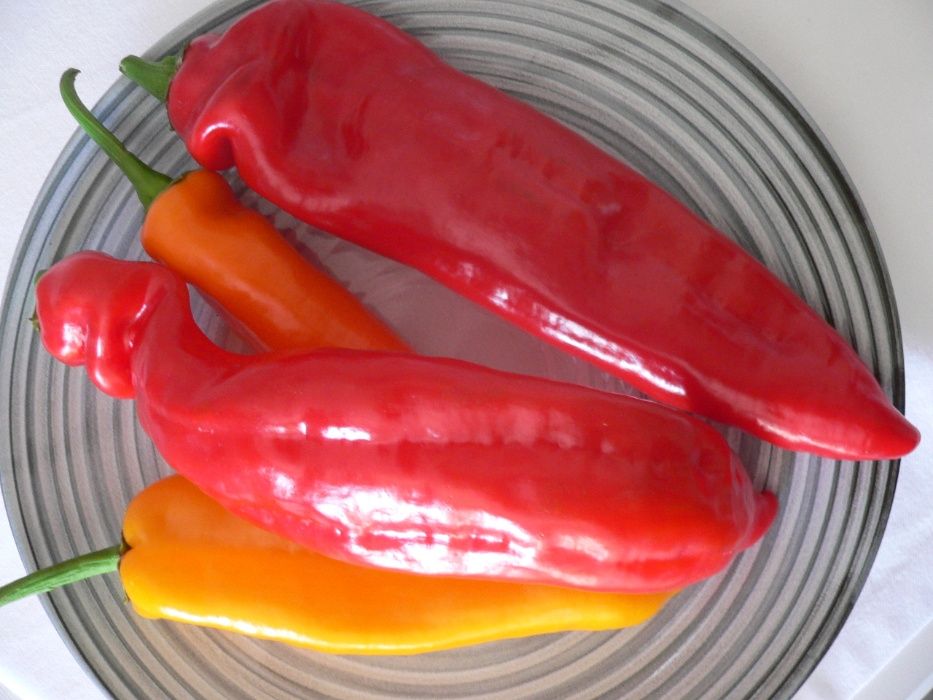 50 Sementes de Pimento Italiano