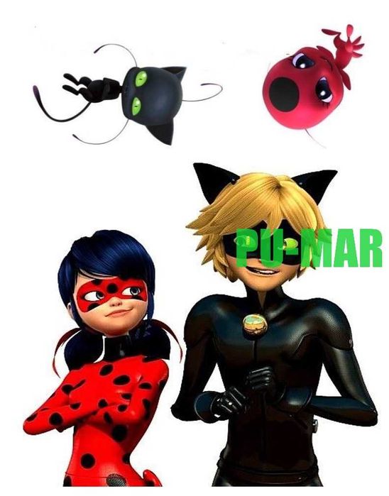 Opłatek na tort Urodziny Biedronka Czarny Kot Postacie