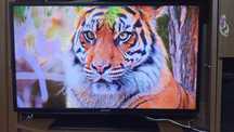 Телевизор 40" Samsung UE40EH5307K Smart TV