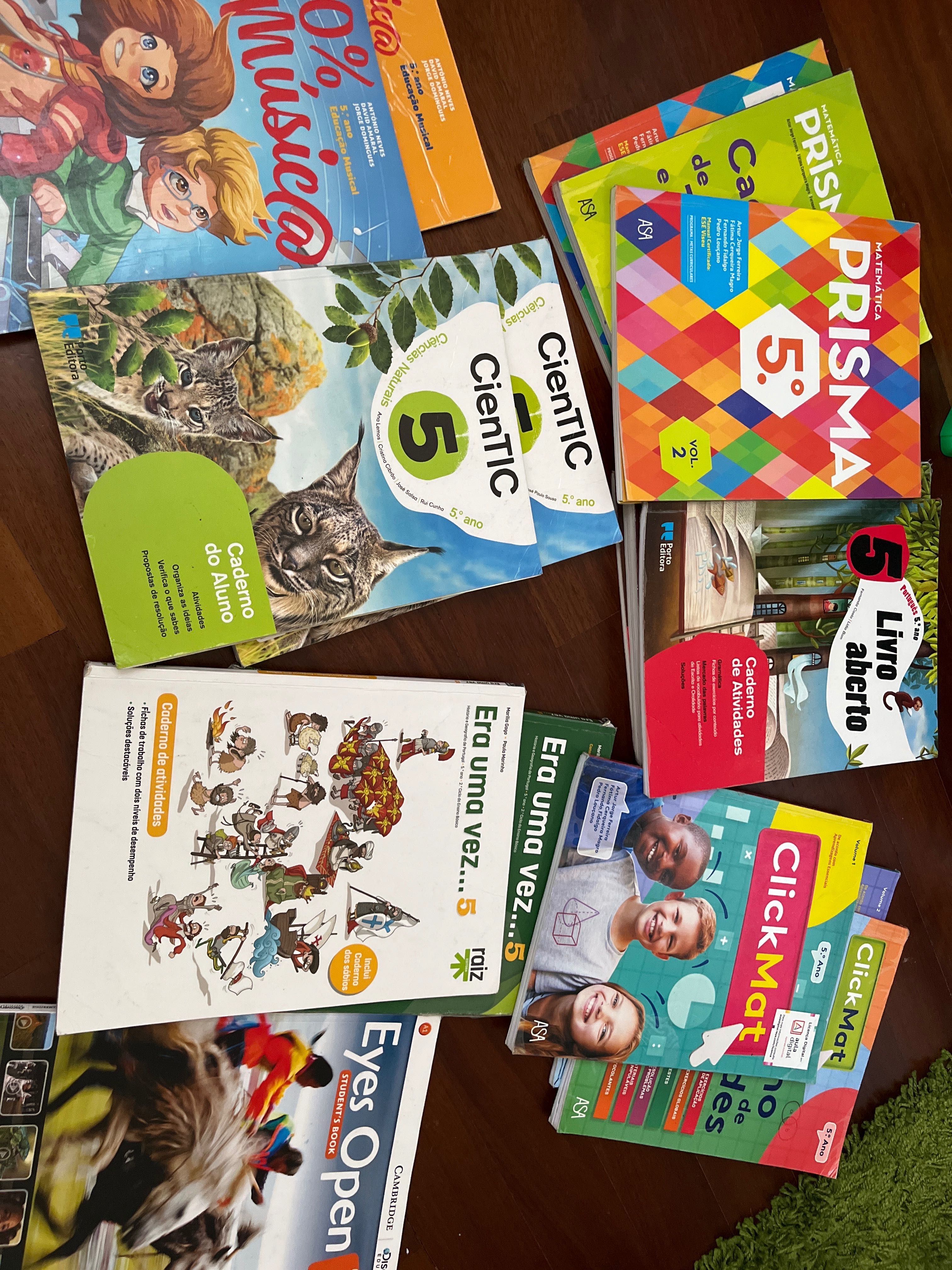 Livros escolares 5o ano