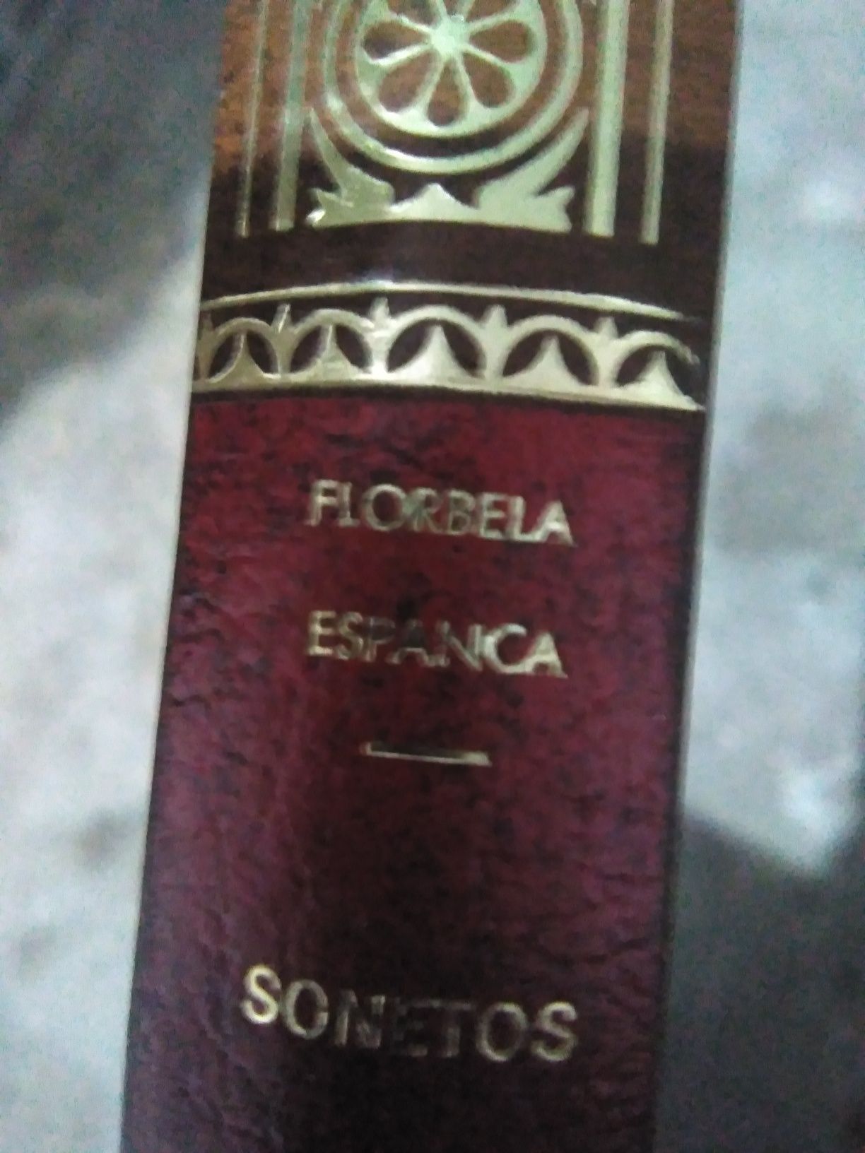 Livro encadernado Florbela Espanca