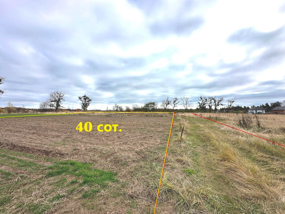 Продаються 4 земельні ділянки поруч — загальна площа 55 соток!