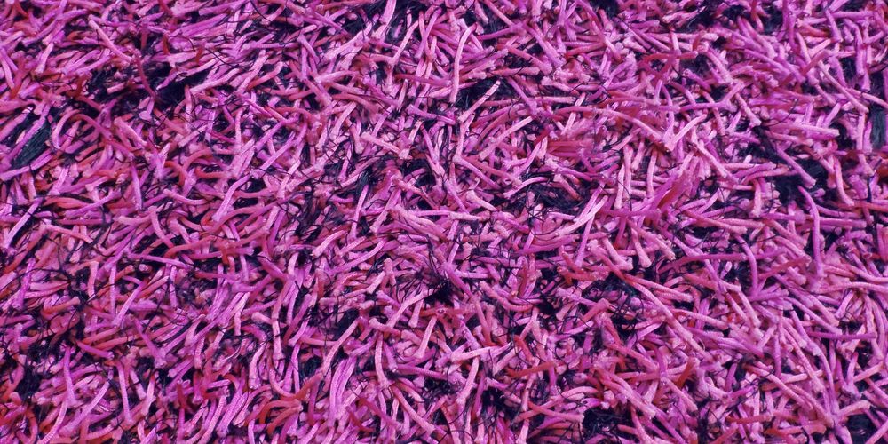 2 Carpetes de pelo alto fucsia e preto 200x140