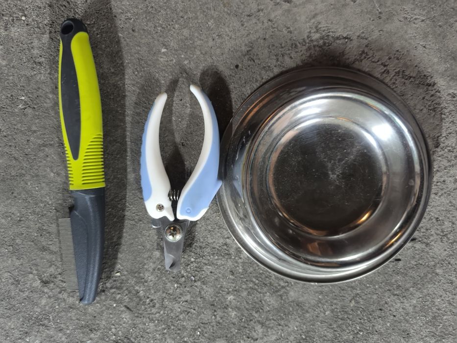 Casota coelho estimação