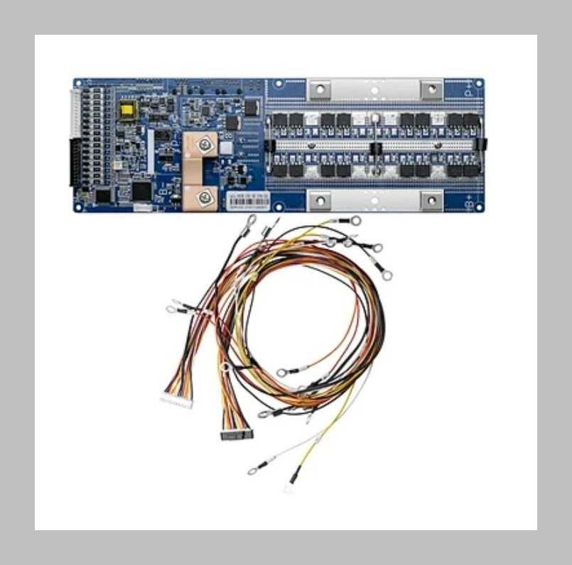 SMART BMS CAN 100A 16S LiFePo4 48V coвместима с SOLIS, LUXPOWER