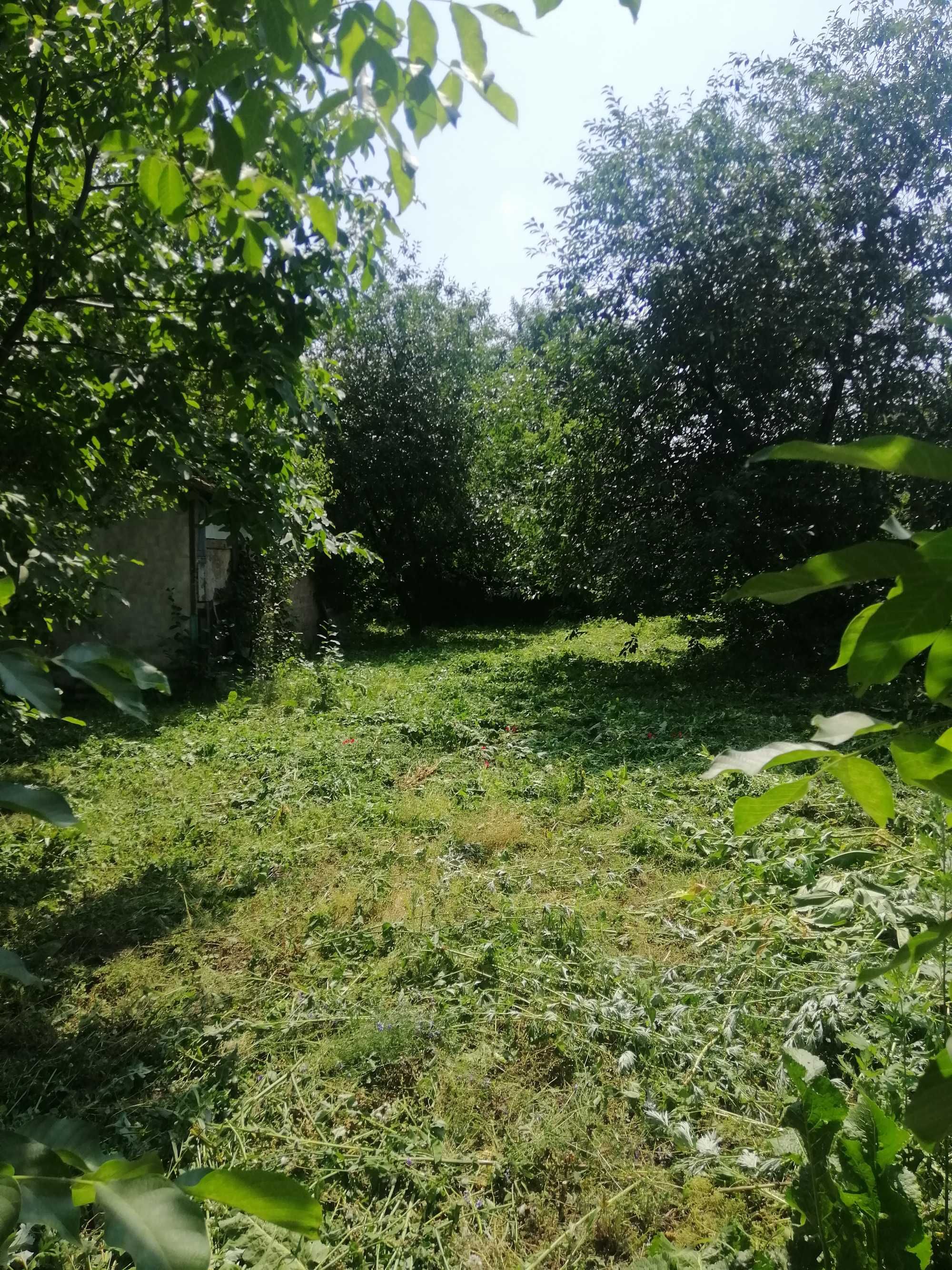 Будинок, гараж, літня кухня.