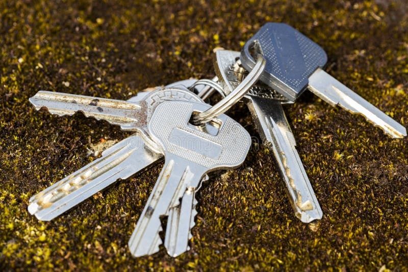 Serviço de Busca com Detector de Metais – Objetos Perdidos