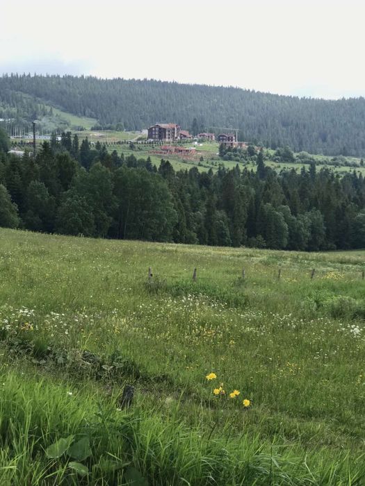 Продаю 25 соток Львівська обл. Сянки в межах села