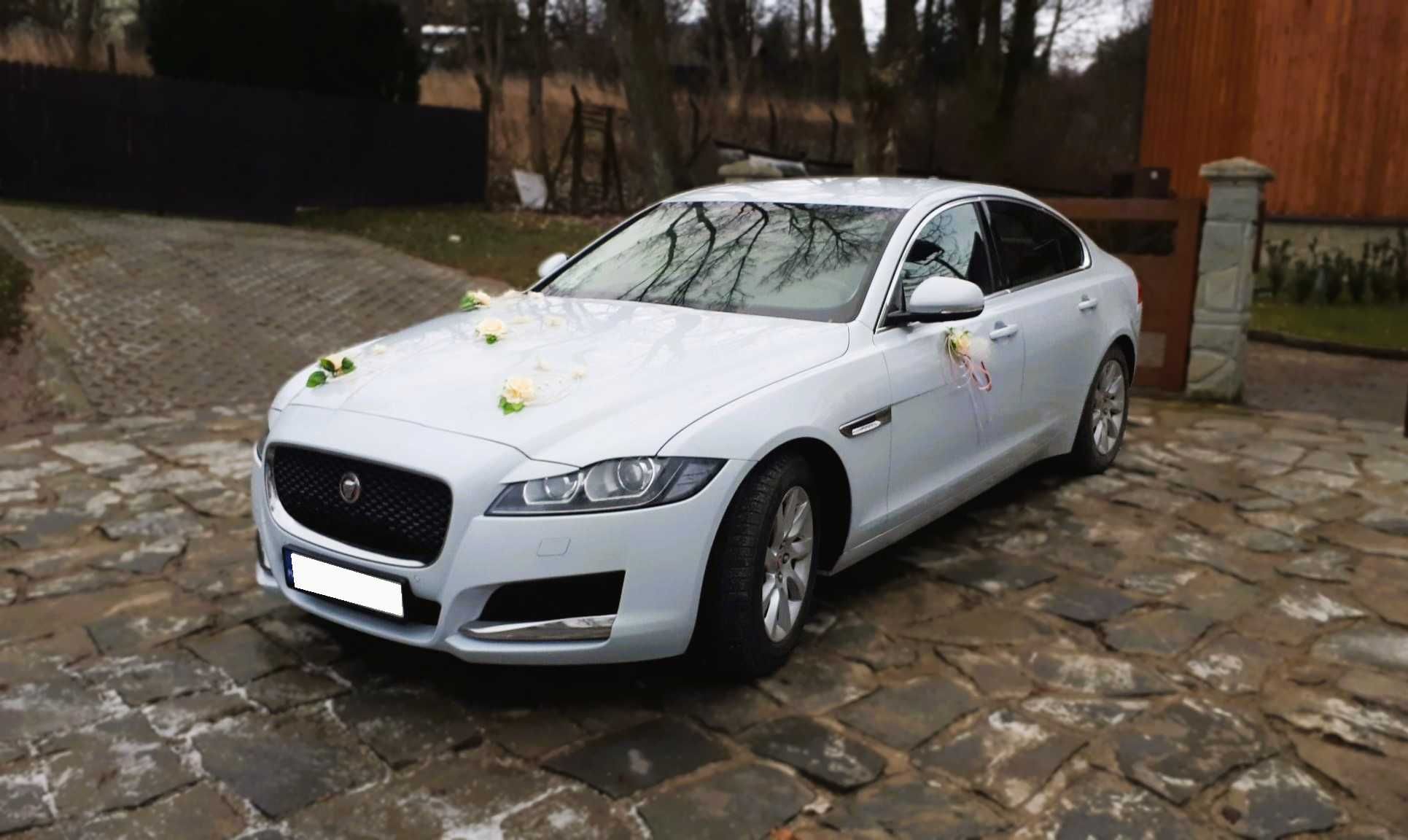 Auto, samochód do ślubu, wesela, komunia, p. biznesowe - Jaguar XF