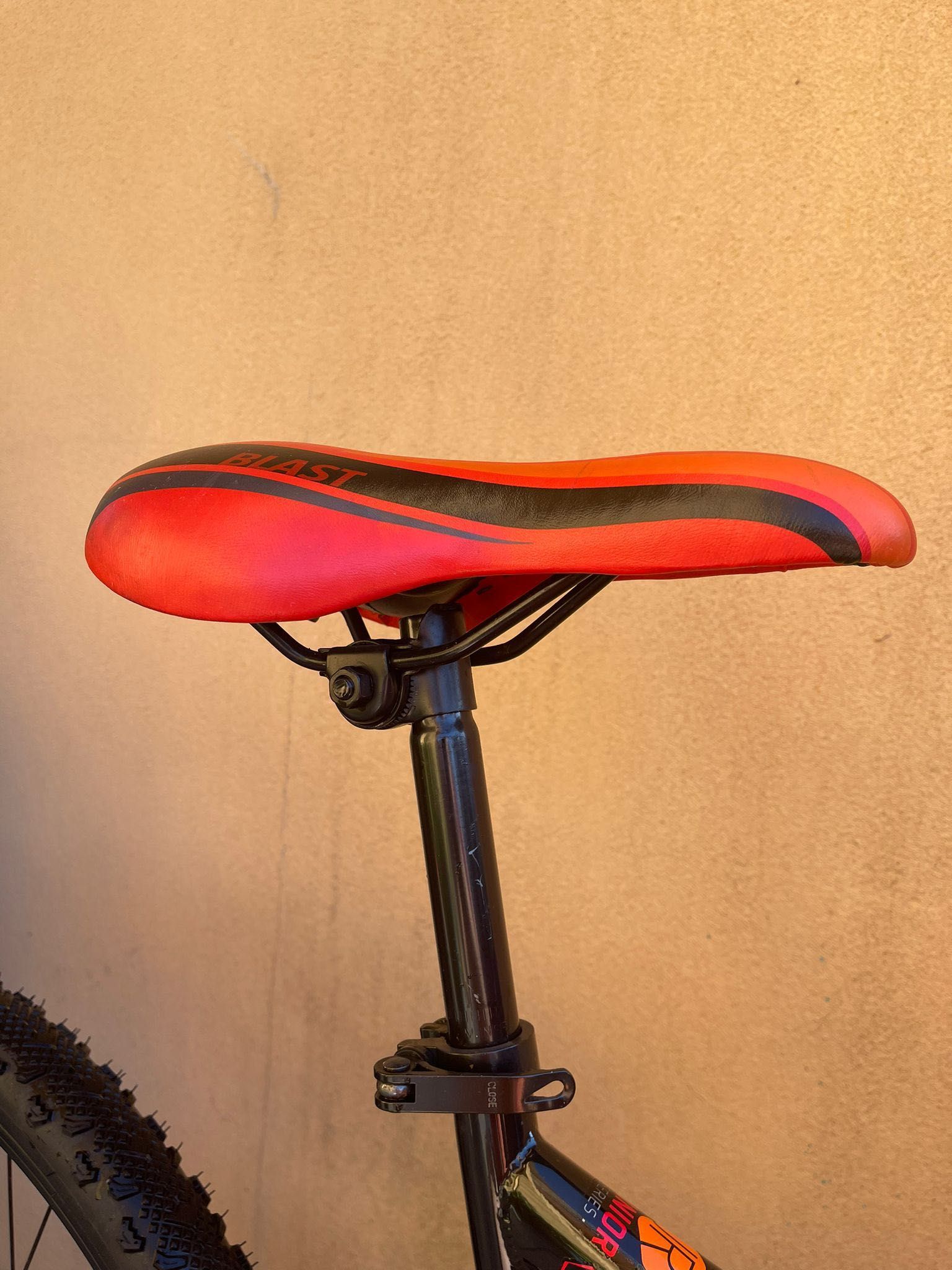 Bicicleta Berg - Roda 24