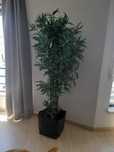 Planta Artificial