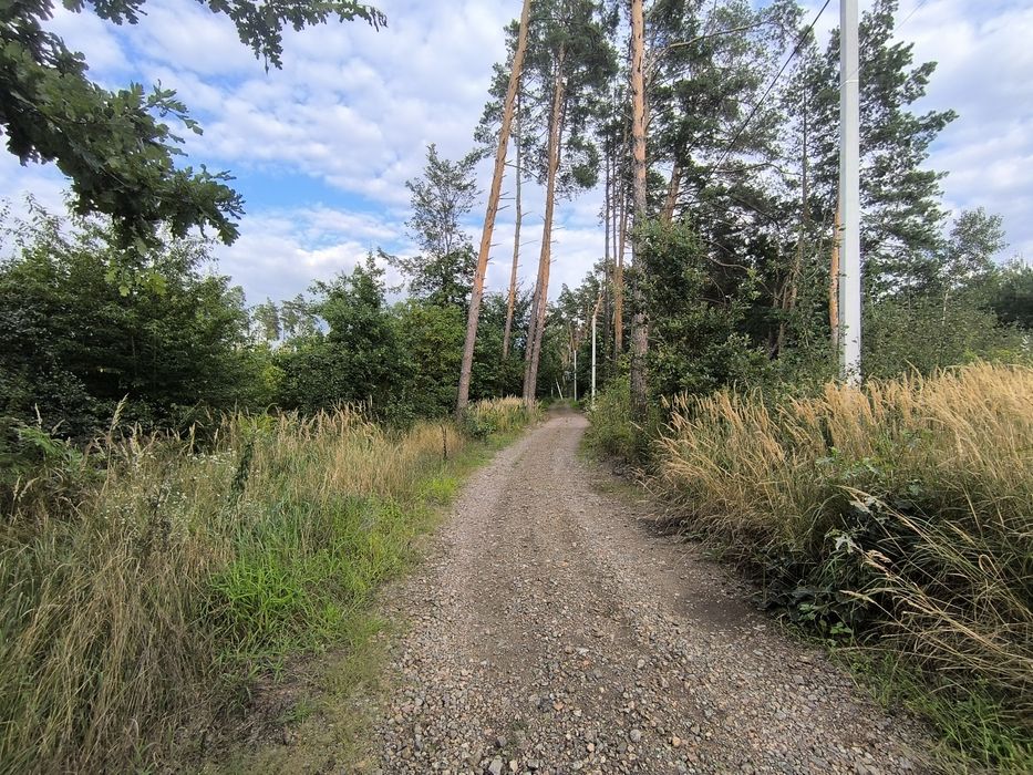 ЖОРНІВКА!Продаж цікавої ділянки 10 соток в оточенні Хвойного Лісу!