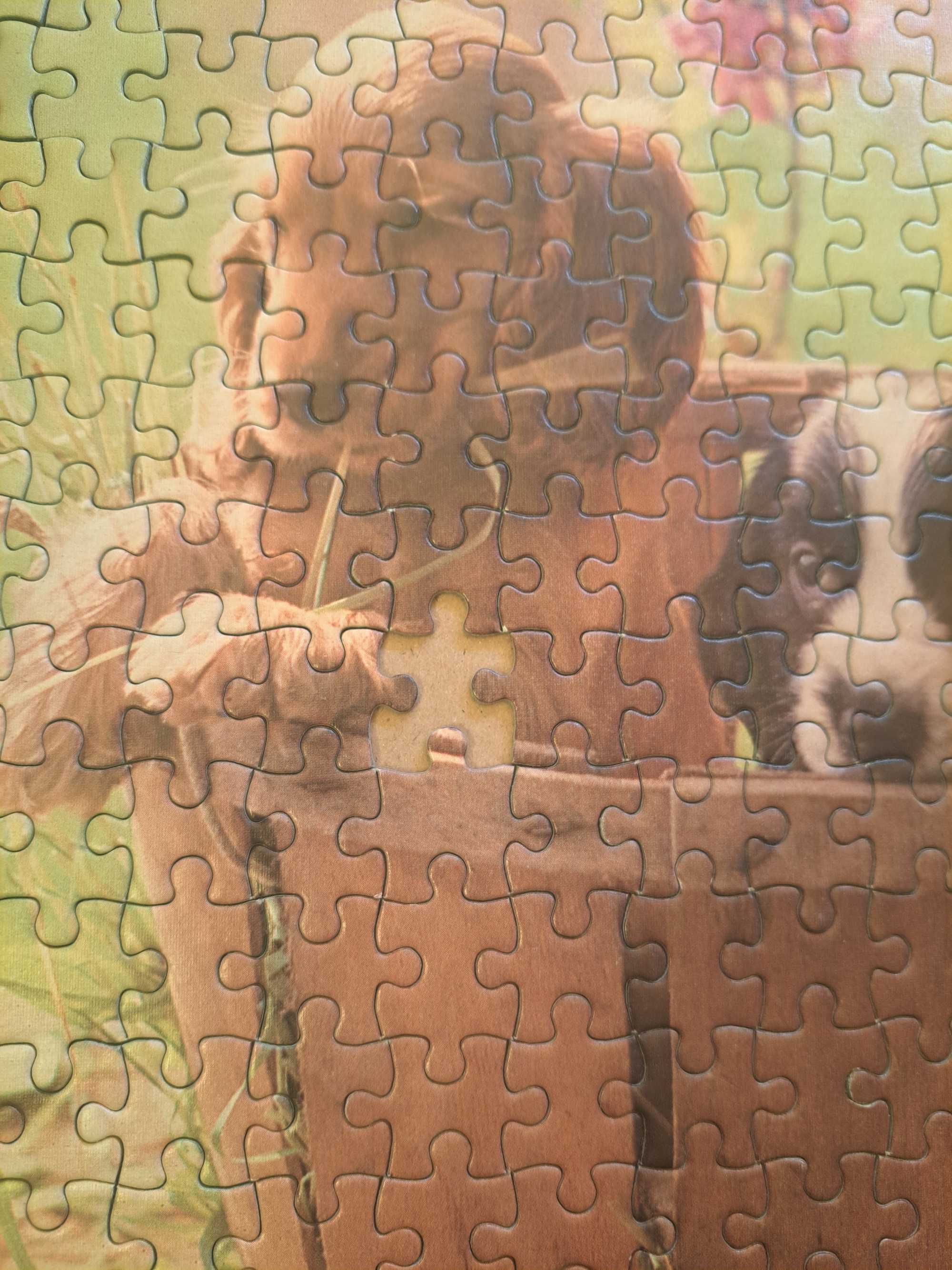 Puzzle Szczeniaki/Psy w koszyku, 500 el. MBpuzzle
