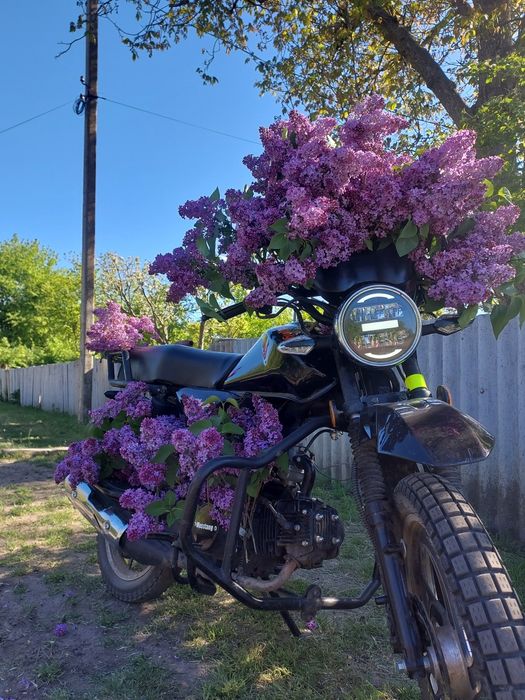 Продам Мустанг Дінго 2" Можливий обмін На жигуля