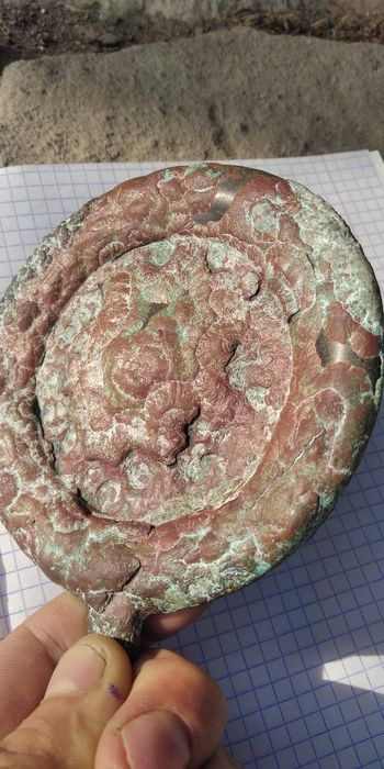 Зеркало Сармати Скіфи