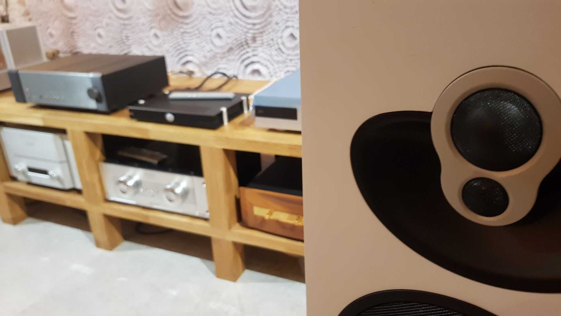 Linn Sneaky Music DS Odtwarzacz strumieniowy