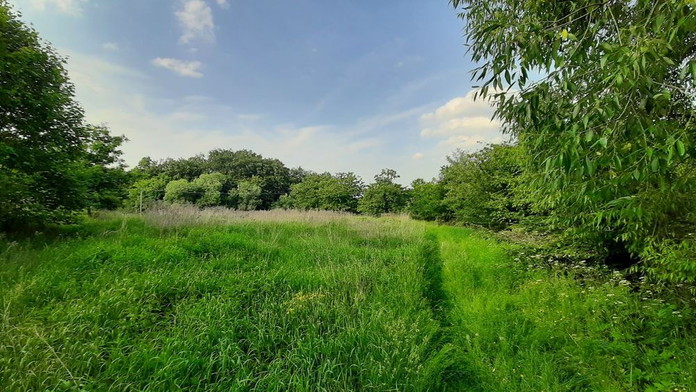 Ділянки дві с.Майдан 1.3 га. 420$/сота.