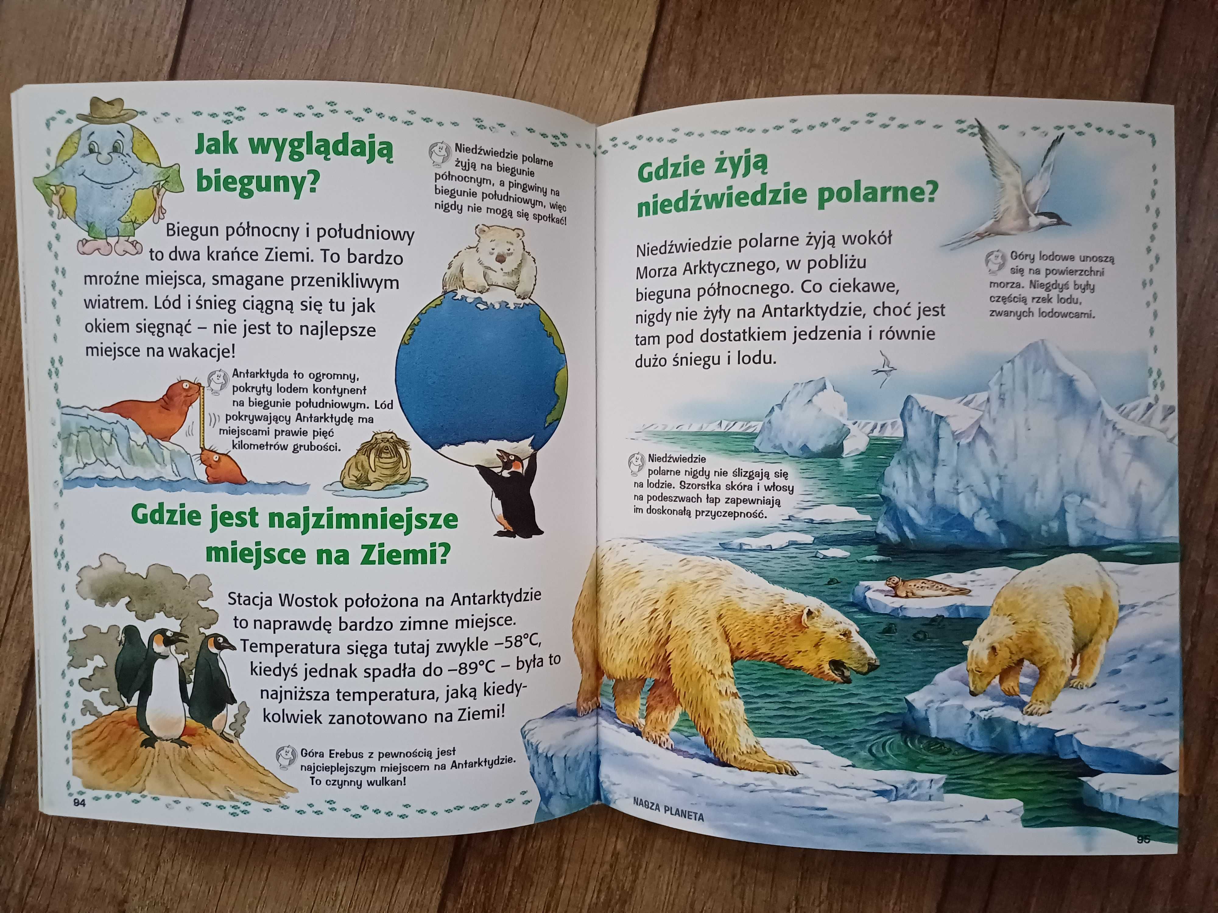 Ciekawe dlaczego. Księga przyrody