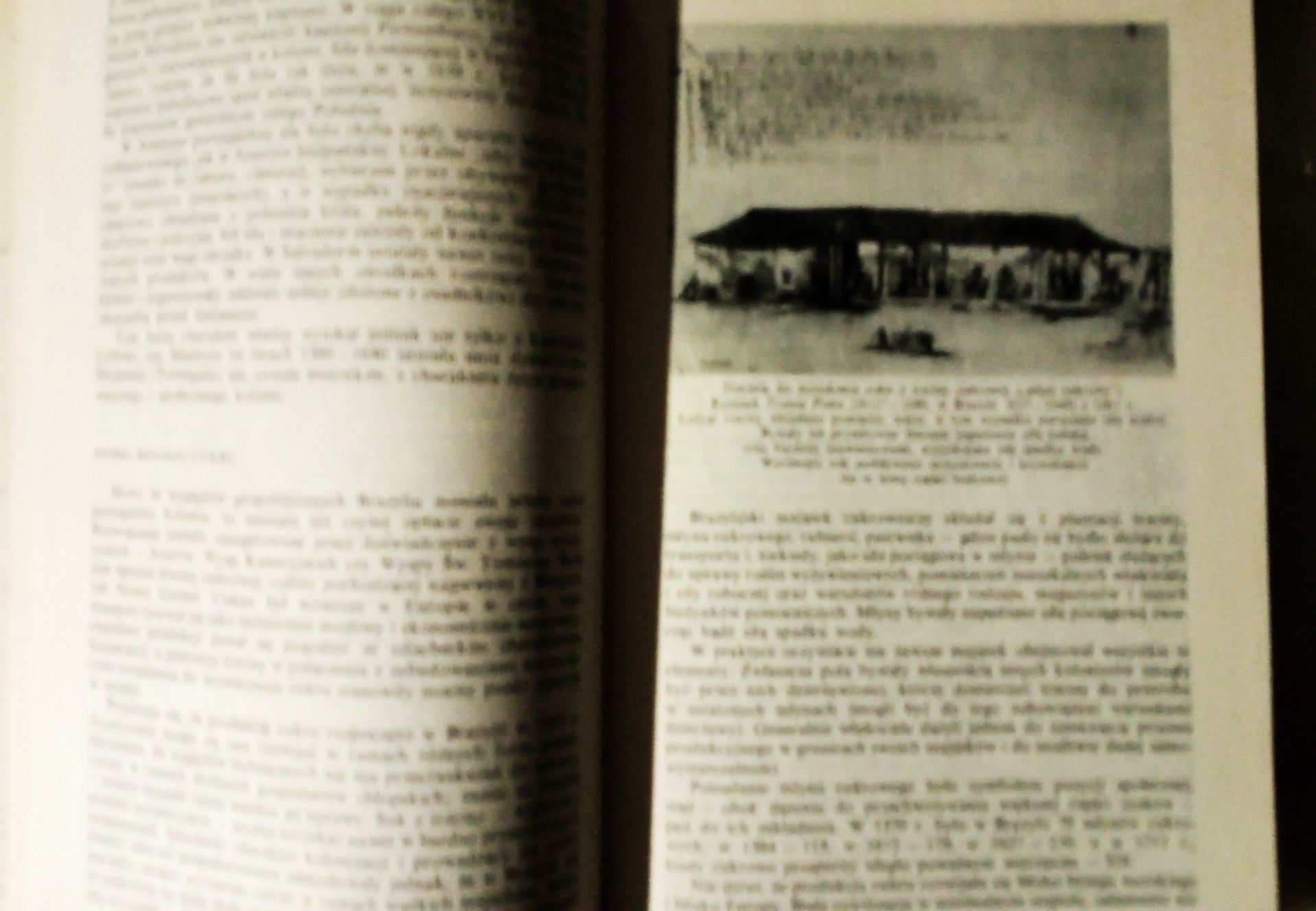 Historia Brazylii Marcin Kula