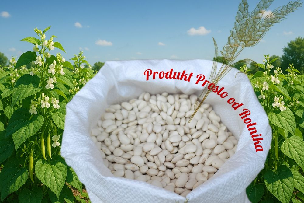 Fasola Jaś Opakowanie 5 kg wysyłka natychmiast Inpost