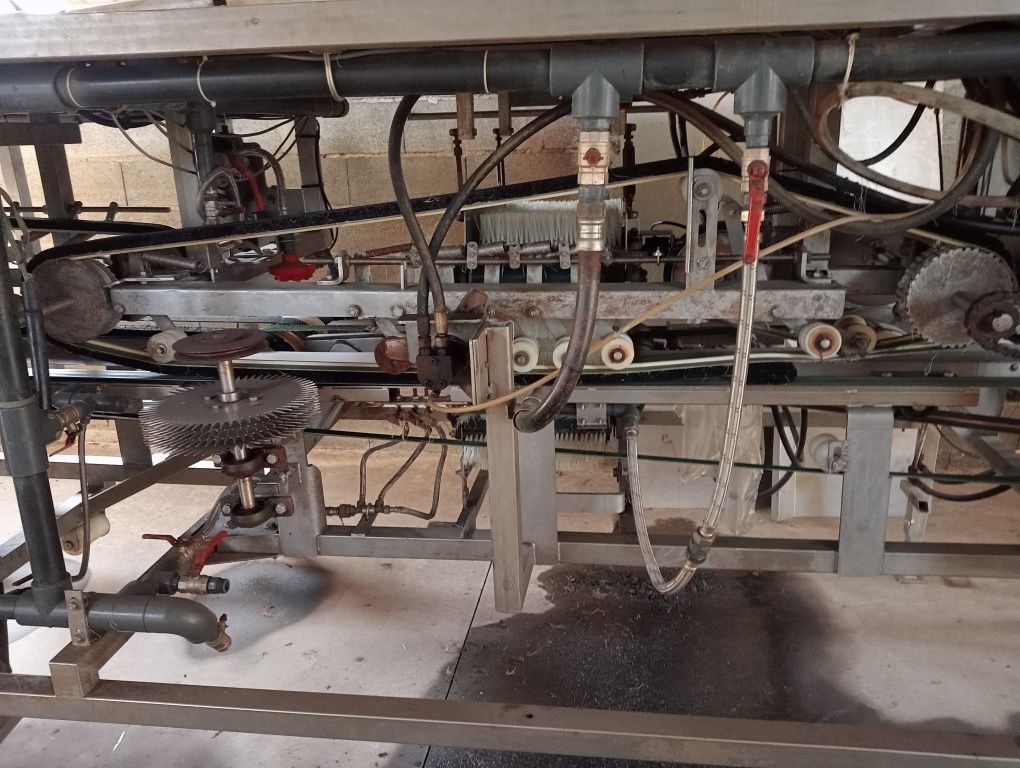 Máquina de lavar alho francês