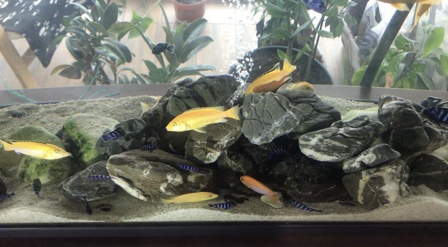 Аквариум Resun lr 1000