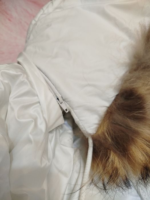 Куртка жіноча Пальто з хутром єнота Подовжена біла куртка єврозима