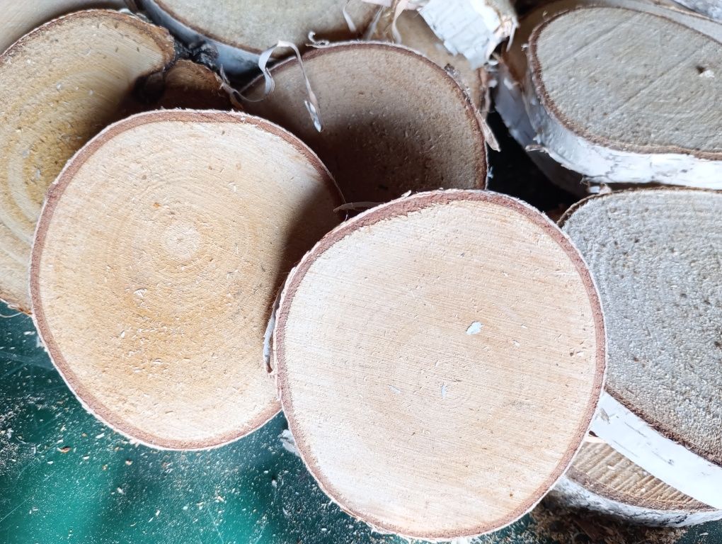 WYPRZEDAŻ plasterki drewna brzozowego śr ok 7-8 cm suche