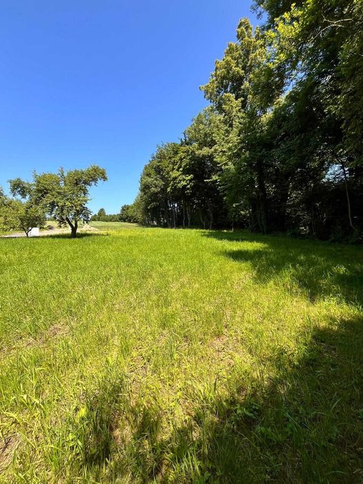Działka budowlana - Pisarzowice (Lubań)