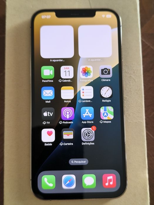 iPhone 12 Pro Max 256GB