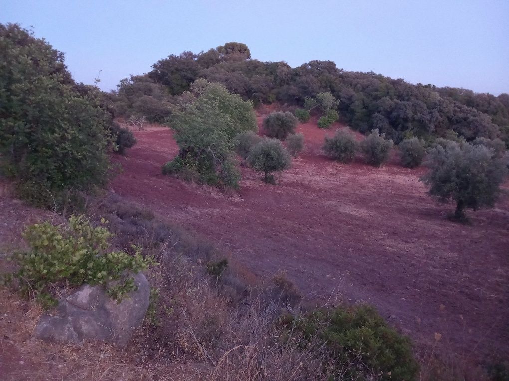 Terreno Urbano com Vista Mar.