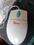 Rato antigo Genius