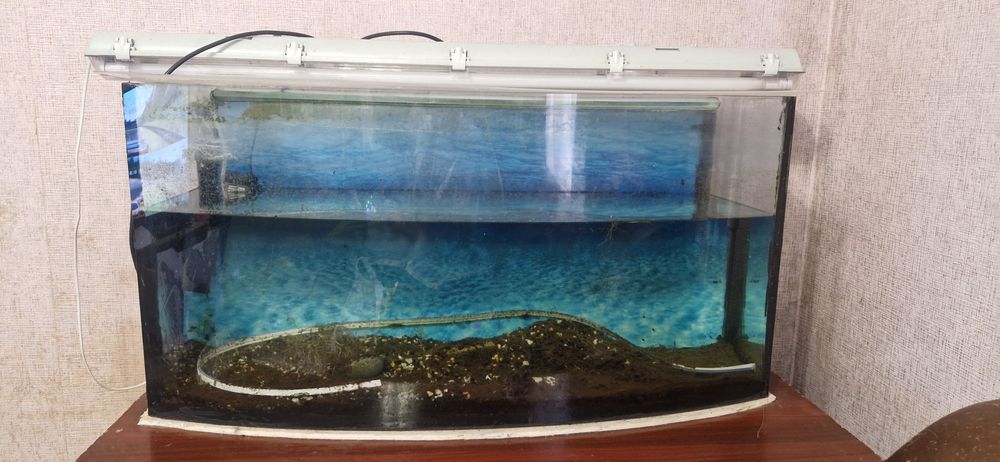 Акваріум "Природа" 190 літрів із панорамним вигнутим склом. Торг!