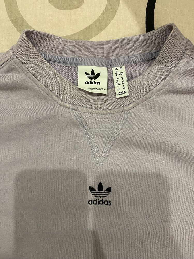 Світшот adidas