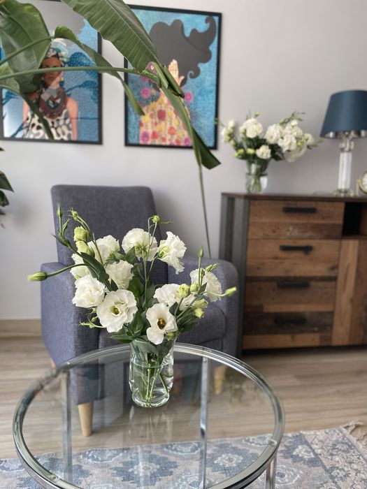 Wirtualne biuro, gabinet, biuro na godziny, bloki godzi, wybrane dni,